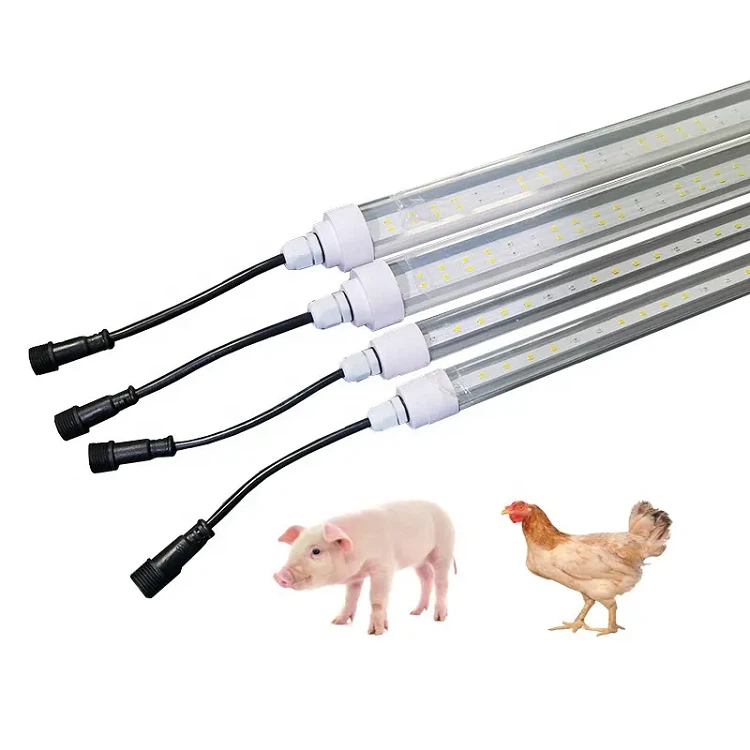 48V tube light 48V tube light