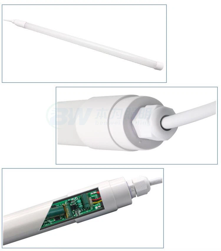 light in chicken coop at night