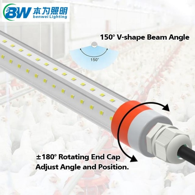 led poultry lighting system led poultry lighting system