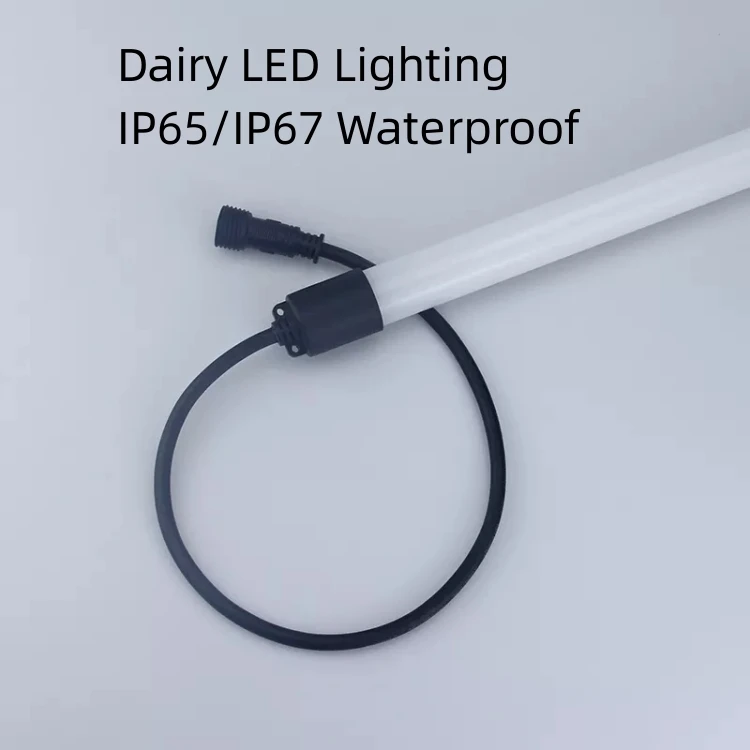 dairy led lighting