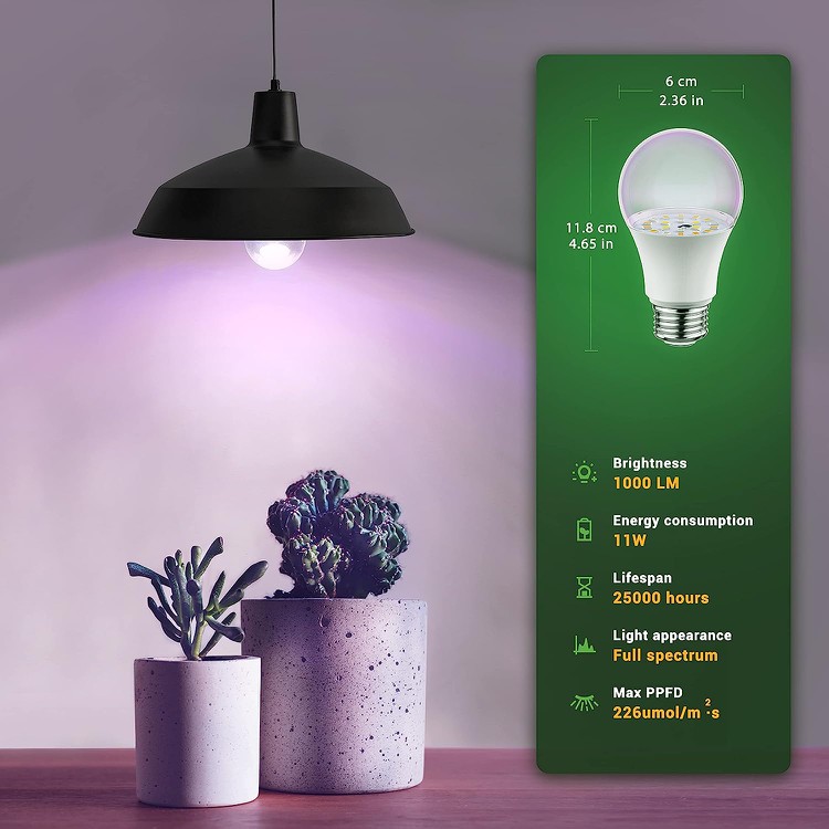 11W Grow Bulb Red Blue 1 11W Grow Bulb Red Blue 1