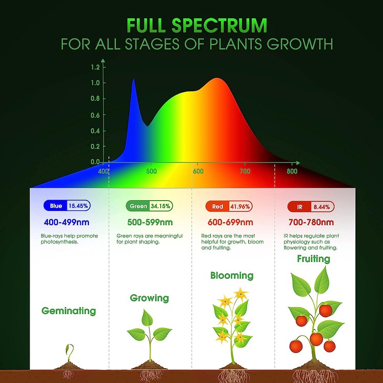 11W Grow Bulb Red Blue 2 11W Grow Bulb Red Blue 2