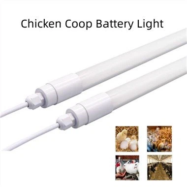 Chicken Coop batterilampa