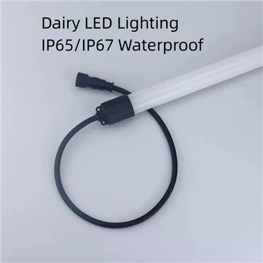 Mejeri LED-belysning