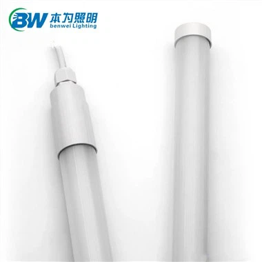 Ljus Insida Kyckling Coop