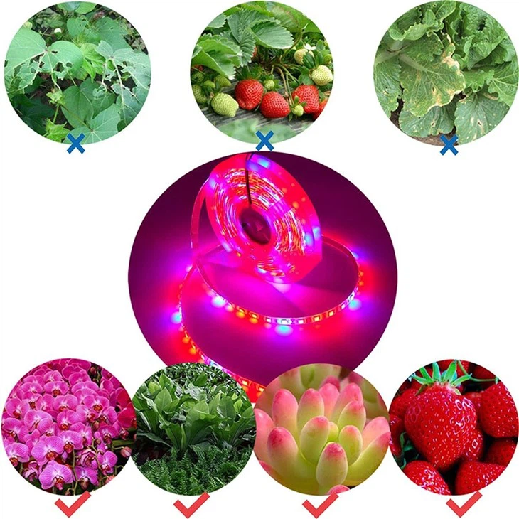 Led Plant Grow Strip Light 3
