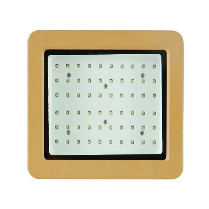 flood light explosion proof