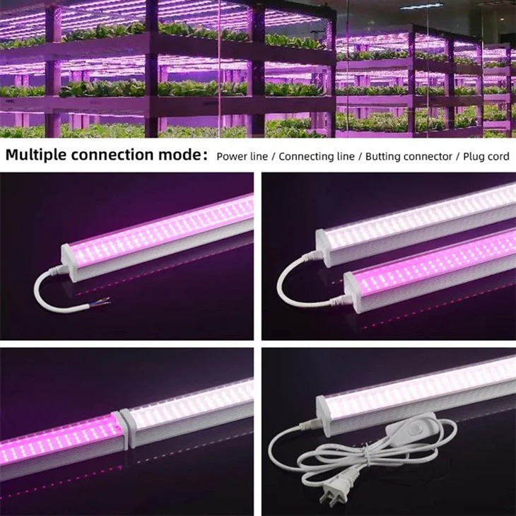 Greenhouse cultivation Led plant growth Light 1