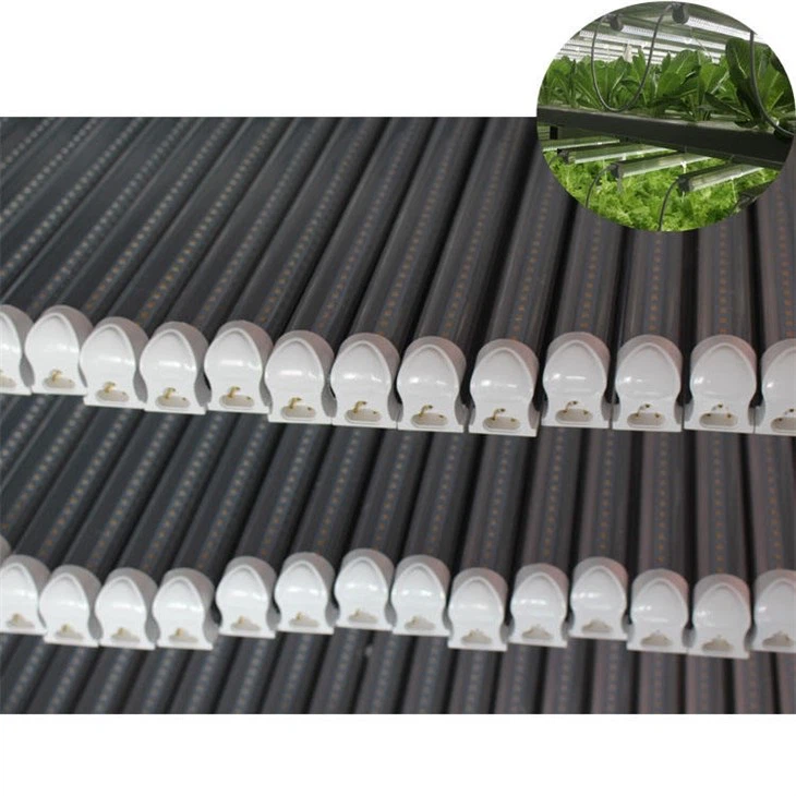 Greenhouse Grow Lights