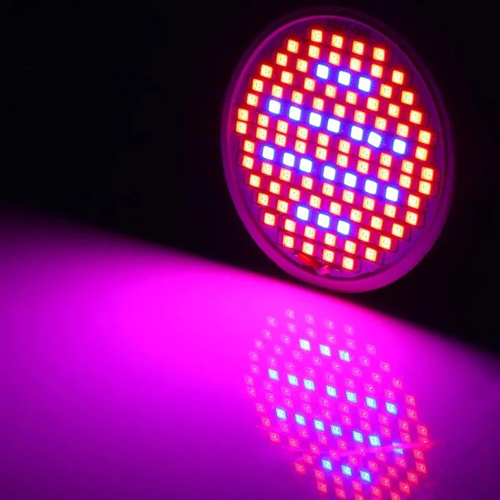 10W Par 30 LED grow bulb for indoor plants 2