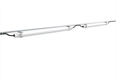 Kycklinglampa Med Ljus För Ägg