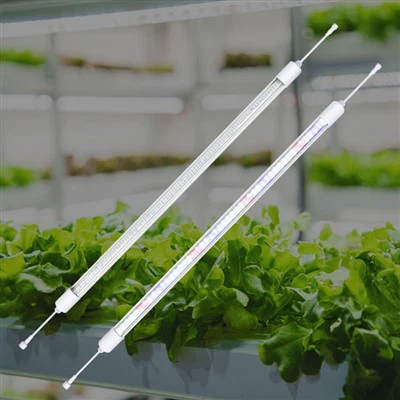 Växthusljus För Vinter