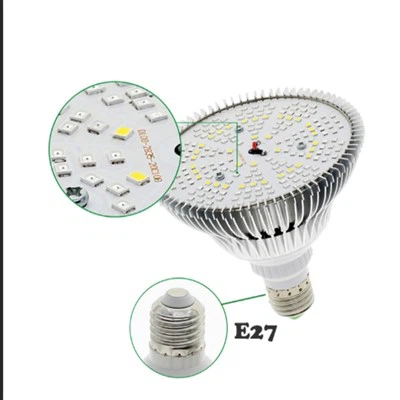 Glödlampor För Växter