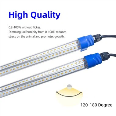 Ljus för Baby Kycklingar