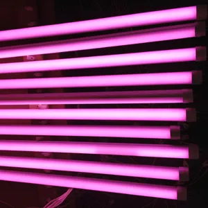 Rosa LED Meat T8 Tube Light för stormarknad/slaktare/ mat/grönsaker