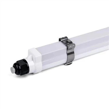 Vaktel Brooder Light