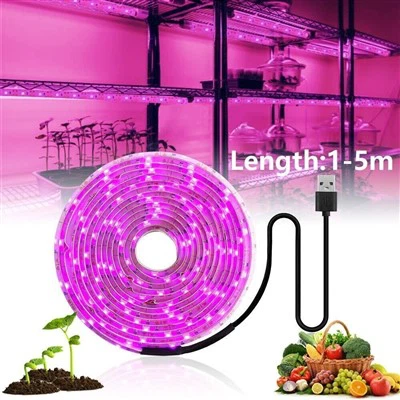 Solar Grow Lights för utomhusväxter