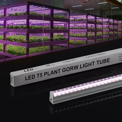 T5 Grow Lamp Med Timer