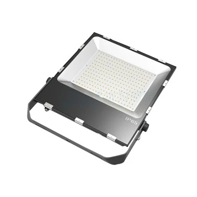 100W LED Flood Light