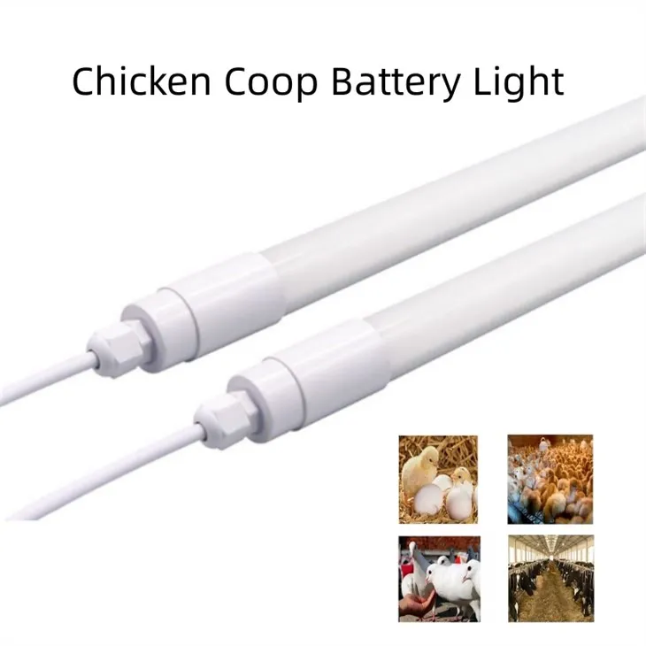 18w Chicken House Lighting