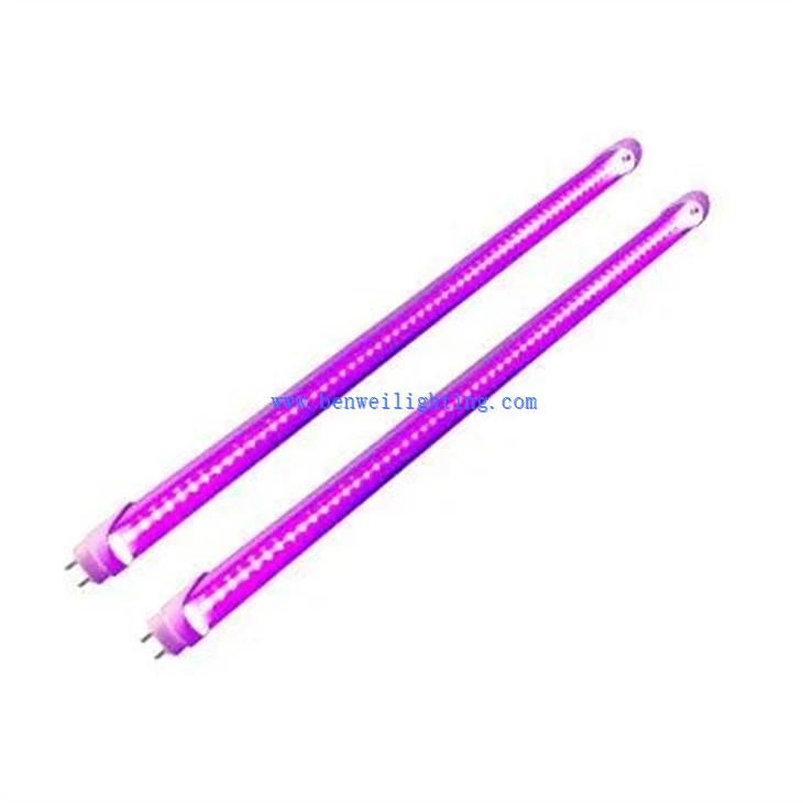 Bug Zapper Light (2)