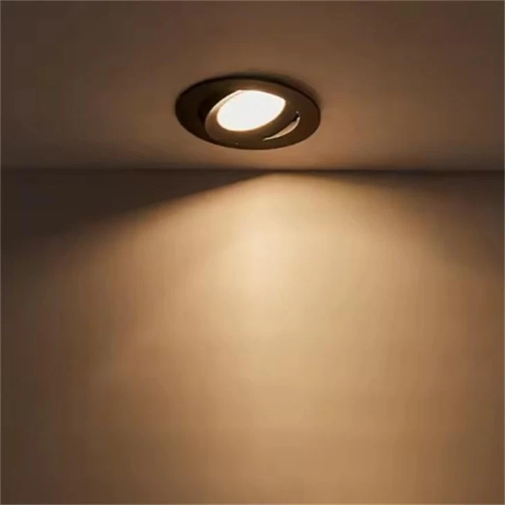 Ceiling Lights For Indoor suppliers