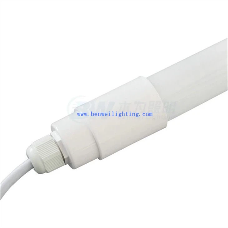 Dairy Farm Poultry Lamp (4)