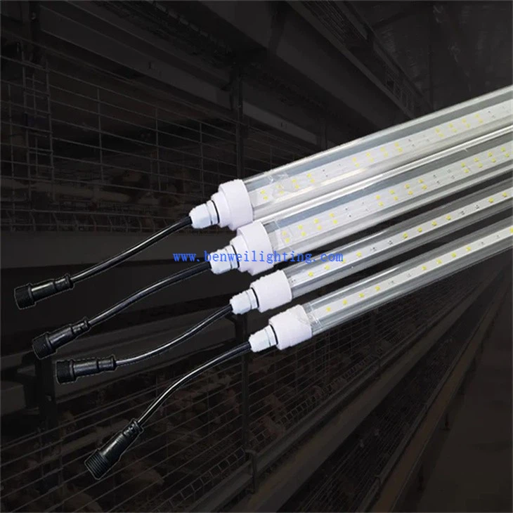 Egg Incubator Light (2)