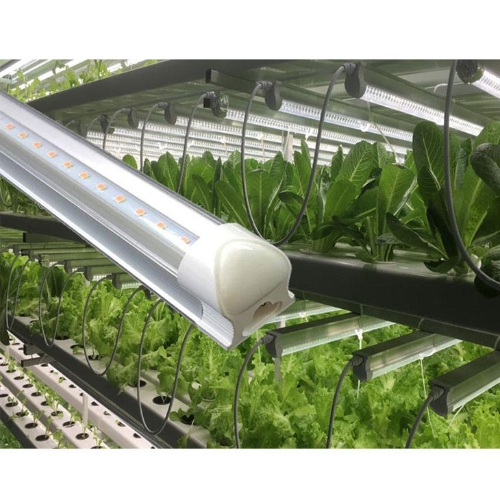 Grow Light High Lumens