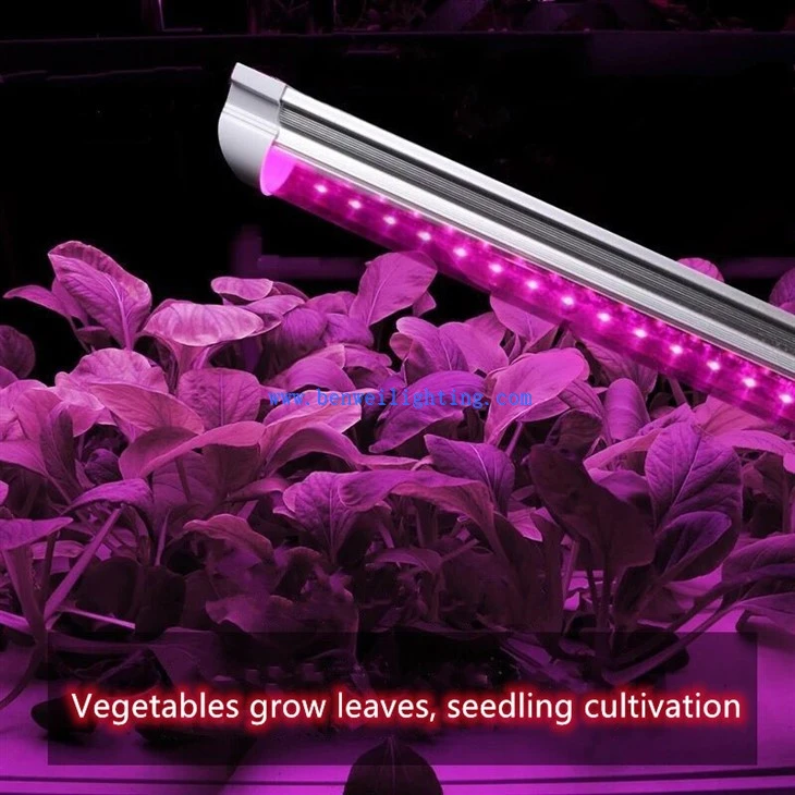 Indoor Garden Growing Kits With Led Grow Light