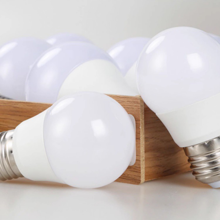 Portability LED Bulb 4