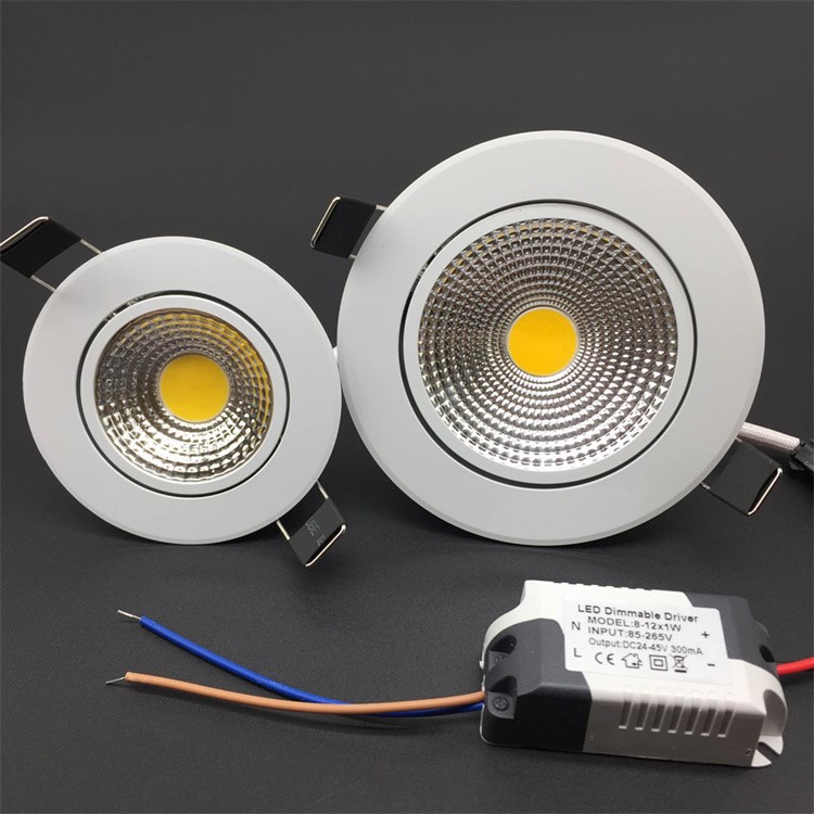 Living Room Directional Downlight 1