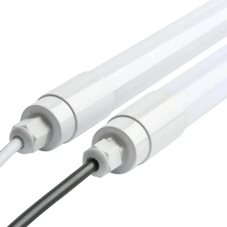 Dairy Cattle Lighting 4 Dairy Cattle Lighting 4