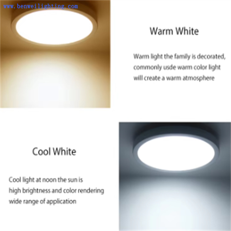 ceiling light fixture ceiling light fixture