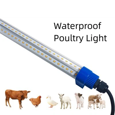 4 fot 18W LED fjäderfäljus