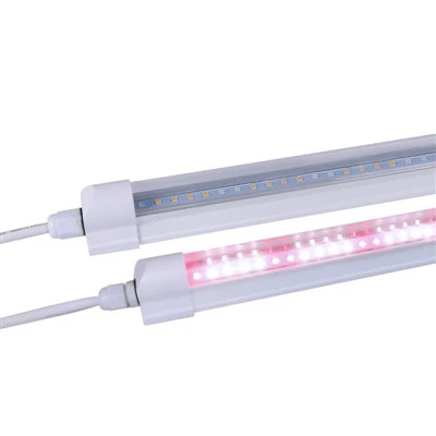 Inomhus LED växtljus inomhus växthus