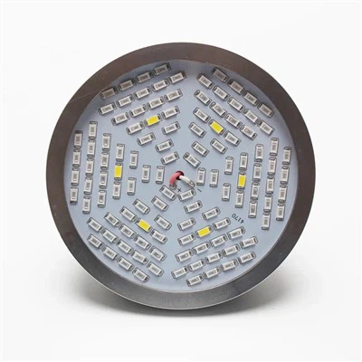IP65 Full Spectrum LED-lampor