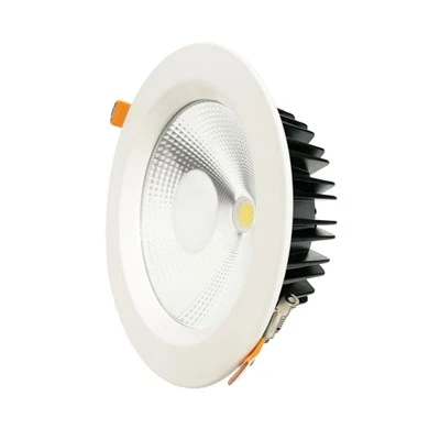 Led   Downlight   20w