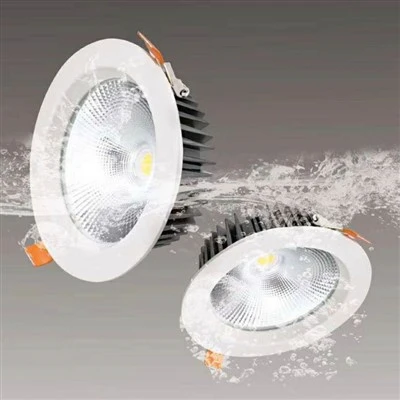 LED   Downlight   55mm   Cut   Ut