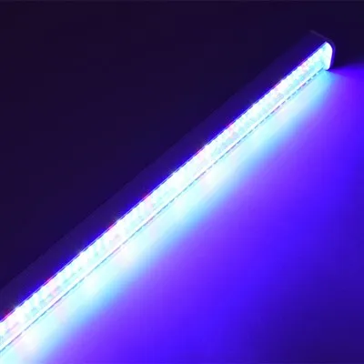 Led Grow Light inomhus