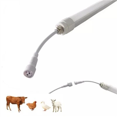 Milk Lad Light