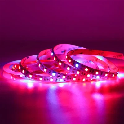 Neon LED-ljusremsor