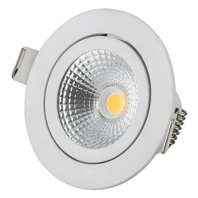 Utomhus Round Cob Ceiling Downlight
