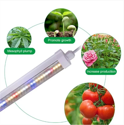T8 Växande Lampa Led Indoor Grow Light